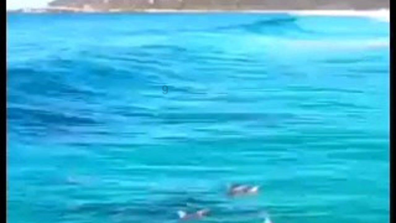 寻找暗藏的宝藏